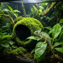 1pc Artificial Moss Reptile Hiding Cave, Suitable For Geckos, Lizards, Hamsters, Snakes To Rest And Hide, Decor For Terrariums And Rainforest Aquariums - Green - View 6
