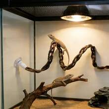 Reptile Climbing Rattan, Suction Cup Climbing Rope, Reptile Supplies And Decor, Climbing Playtime, Climbing Animal Accessories, Reptile Climbing Rope, Terrarium Decor, Suitable For Lizards, Geckos, Spiders, Snakes And Other Reptiles. Aquarium Accessories - View 2
