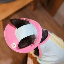 Mũ chống nắng mùa hè kiểu Ins Style cho mèo, mũ vành rộng bảo vệ mắt, phụ kiện độc quyền dành cho chó Dachshund, phù hợp với mèo cỡ nhỏ đến trung bình. - Nhiều màu - Xem 2