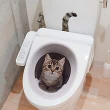 1 Peça Adesivo Criativo de Assento de Vaso Sanitário 3D em Formato de Gato, Design de Gato Fofo, Fácil Instalação, Decoração Realista de Banheiro de Gato, Adequado para Casa, Banheiro, Amantes de Gatos, Presente de Halloween - Multicolorido - Visão 9