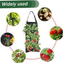 2 bolsas colgantes para plantar fresas, bolsas de plantación montadas en la pared, bolsas colgantes de plantación de fresas con múltiples agujeros para balcón y patio, transpirables, permeables al agua, duraderas y reutilizables - Multicolor - Ver 6