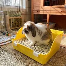 Small Pet Toys - Pink - View 3