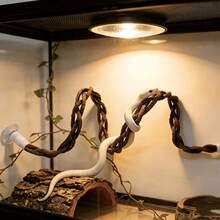 Reptile Climbing Rattan, Suction Cup Climbing Rope, Reptile Supplies And Decor, Climbing Playtime, Climbing Animal Accessories, Reptile Climbing Rope, Terrarium Decor, Suitable For Lizards, Geckos, Spiders, Snakes And Other Reptiles. Aquarium Accessories - View 4