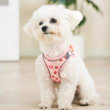 Printed Dog Harness And Leash Set, Dog Harness, Suitable For Training And Walking, Breathable Adjustable Pet Vest, Suitable For Small To Medium Dogs And Cats - Pink - View 3