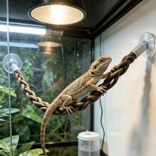 Reptile Climbing Rattan, Suction Cup Climbing Rope, Reptile Supplies And Decor, Climbing Playtime, Climbing Animal Accessories, Reptile Climbing Rope, Terrarium Decor, Suitable For Lizards, Geckos, Spiders, Snakes And Other Reptiles. Aquarium Accessories - View 8