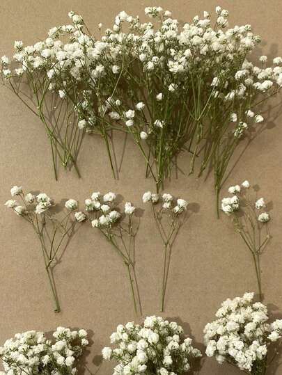 25/50/100/150/300 bông hoa giả mini hoa baby's breath và các loại hoa khác - Dùng cho khuôn nhựa, nghệ thuật và thủ công, bó hoa màu sắc dùng làm phụ kiện tóc, vòng hoa cưới, trang trí bàn, trang trí nhà cửa - Bó hoa màu trắng ngà dùng làm phụ kiện tóc, vòng hoa cưới, trang trí bàn và trang trí nhà cửa.