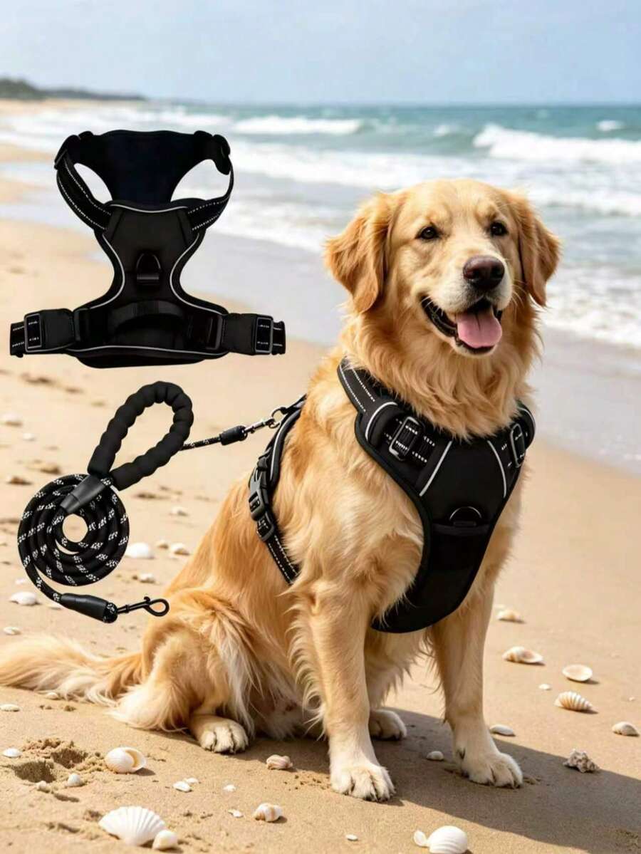 2pcs Reflective Dog Harness And 1.5m Leash Set, Breathable Pet Harness, Suitable For Small, Medium, Large Dogs And Cats, Puppy Harness, Dog Walking Leash And Harness Accessories - Black - View 1