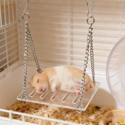 1pc Hamster Seesaw Swing Toy, Small Animal Cage Accessory, Suitable For Guinea Pigs And Hamsters, Helps Relieve Boredom And Promote Daily Exercise