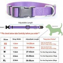 Pet Basic Dog Collars - CW023-purple - View 4