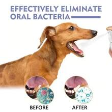 Spray de limpieza dental para mascotas, cuidado bucal, elimina las manchas de dientes, mantiene el aliento fresco para gatos y perros, blanqueamiento, elimina el mal aliento - 1 pieza - Ver 2