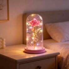 Enchanted Rose With LED Light And Glitter Decorative Flower With Acrylic Dome - 粉色 - 查看 1