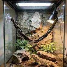 Reptile Climbing Rattan, Suction Cup Climbing Rope, Reptile Supplies And Decor, Climbing Playtime, Climbing Animal Accessories, Reptile Climbing Rope, Terrarium Decor, Suitable For Lizards, Geckos, Spiders, Snakes And Other Reptiles. Aquarium Accessories - View 3