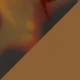 Tortoise Shell Frame Tea