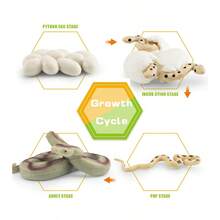 Simulación de dinosaurio, lagarto, tortuga, serpiente, cocodrilo, crecimiento, modelo de ciclo de vida, acción, reptil, figuras de animales, juguete educativo en miniatura - Set de Tiranosaurio Rex-1 - Ver 21