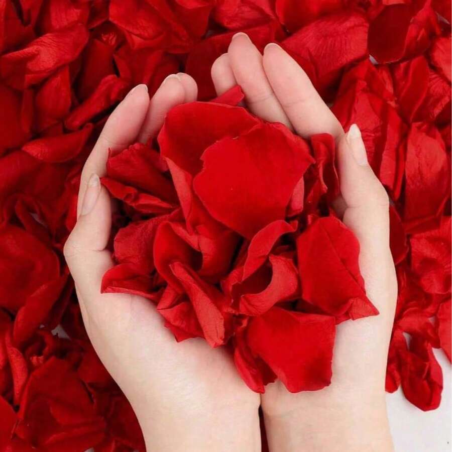 Artificial Red Rose Petals, Perfect For Wedding Party Decorations. They Add A Romantic Touch For Valentine's Day And Are Ideal For Decorating Table Centerpieces. These Petals Can Also Be Used To Create Proposal Surprises, Making Them A Perfect Gift For Valentine's Day, Birthdays, Graduations, And Other Occasions. - Red - View 1