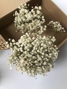 25/50/100/300 支迷你人造满天星 - 适用于树脂模具工艺品制作，象牙白花束，可用于发饰、婚礼花环、餐桌装饰、家居装饰 - 白綠色 - 查看 4