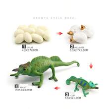 Simulación de dinosaurio, lagarto, tortuga, serpiente, cocodrilo, crecimiento, modelo de ciclo de vida, acción, reptil, figuras de animales, juguete educativo en miniatura - Set Camaleón - Ver 13
