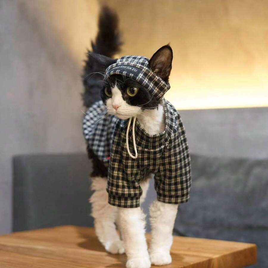 英伦风格子猫咪套装,上衣+帽子设计,斯芬克斯猫服装,时尚街头服饰 - 黑色 - 查看 1