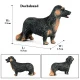 Perro Modelo 10