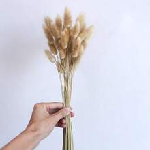 55-60根，17英寸红色人造兔尾草，家居装饰人造兔尾草茎，适用于波西米亚风格插花、DIY手工、家居厨房和婚礼装饰、圣诞节、感恩节、花环制作 - 原色兔尾草 - 查看 8