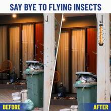 Fruit Fly Trap 3 Pack , Fly Stick  Mosquitoes, Sticky Trap  Flies Gna Wasp Flng Insec, Bug Catcer, Indoor Or Outdoor Use, Ready To Use Ome - Quả cam - Xem 3