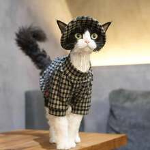 英伦风格子猫咪套装，上衣+帽子设计，斯芬克斯猫服装，时尚街头服饰 - 黑色 - 查看 4
