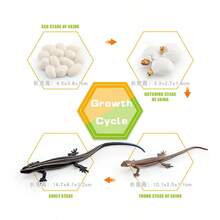 Adult Animal Figure Toys - Set-3 Of Sea Turtles - View 10