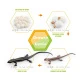Conjunto Skink-1