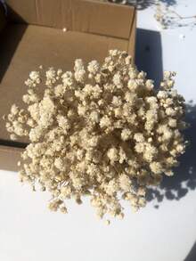 25/50/100/300 支迷你人造满天星 - 适用于树脂模具工艺品制作，象牙白花束，可用于发饰、婚礼花环、餐桌装饰、家居装饰 - 米色 - 查看 2