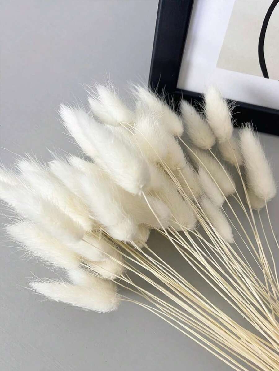 60/120/240支波西米亚风人造花 - 兔尾芦苇草 - 多色,蒲公英花 - 家居、婚礼、办公室、咖啡厅装饰 - 情人节和母亲节礼物 - 白色 - 查看 1