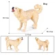 Modelo de perro 18