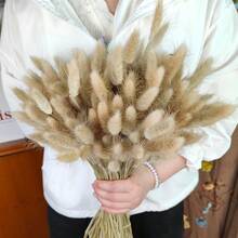 55-60根，17英寸红色人造兔尾草，家居装饰人造兔尾草茎，适用于波西米亚风格插花、DIY手工、家居厨房和婚礼装饰、圣诞节、感恩节、花环制作 - 原色兔尾草 - 查看 3