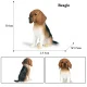 Perro Modelo 16