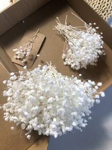 25/50/100/300 pezzi Mini Fiori di Gipsofila Artificiali - Per Stampi in Resina, Arte e Artigianato, profumo Bianco Avorio per Accessori per Capelli, Corone Nuziali, Decorazioni da Tavolo, Decorazioni per la Casa - bianco puro - Visualizzare 5