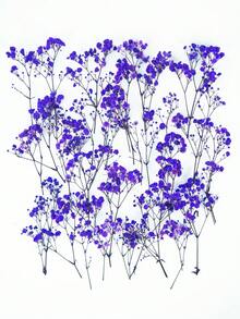 25/50/100/300pcs Mini Artificial Baby's Breath - For Resin Mold Art And Crafts, Ivory White Bouquet For Hair Accessories, Wedding Wreaths, Table Flowers, Home Decor - Purple - View 6