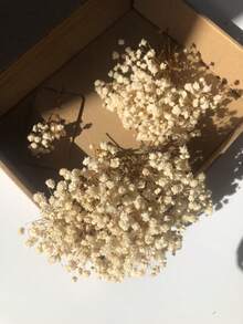 25/50/100/300 支迷你人造满天星 - 适用于树脂模具工艺品制作，象牙白花束，可用于发饰、婚礼花环、餐桌装饰、家居装饰 - 米色 - 查看 6