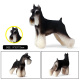 Perro Modelo 24