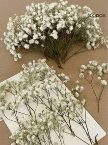 25/50/100/150/300 pezzi Mini Gipsofila e altri fiori artificiali - Per arti e mestieri, accessori per capelli, ghirlande da matrimonio, fiori da tavola, decorazione per la casa, ecc. - verde bianco - Visualizzare 10