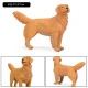 Perro Modelo 27