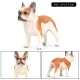 Perro modelo 23