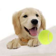 4 pelotas de tenis interactivas para perros, de material de goma de alta elasticidad, adecuadas para perros pequeños y medianos, sin incluir equipo de entrenamiento. - Amarillo - Ver 4