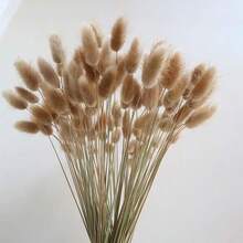 55-60根，17英寸红色人造兔尾草，家居装饰人造兔尾草茎，适用于波西米亚风格插花、DIY手工、家居厨房和婚礼装饰、圣诞节、感恩节、花环制作 - 原色兔尾草 - 查看 7