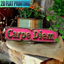 Vintage Latin Phrase "Carpe Diem" 2D Flat Sign - Designed In Retro Green, Blue, And Pink Rustic Country Style, Made Of Durable Aluminum Metal, Suitable For Home, Cafe, Bar - A - View 2