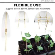 50 Pack 8 Plant Stakes Wood Garden Sticks,Wooden Indoor Gardening Floral Plant Support ,Potted Plants,Crafts, More Size Choices 8/12/16 - 竹子 - 查看 8