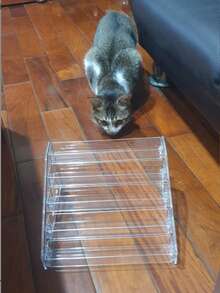 1 Set Acrylic Transparent Desktop Organizer Rack, Phone Case Holder, Eyeshadow, Nail Polish, BB Cushion Display Stand, Makeup Vanity Organizer For Girls Bedroom, Home Living, Storage Supplies - Clear - View 5