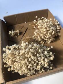 25/50/100/300 支迷你人造满天星 - 适用于树脂模具工艺品制作，象牙白花束，可用于发饰、婚礼花环、餐桌装饰、家居装饰 - 米色 - 查看 4