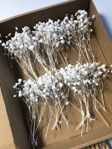 25/50/100/300 pezzi Mini Fiori di Gipsofila Artificiali - Per Stampi in Resina, Arte e Artigianato, profumo Bianco Avorio per Accessori per Capelli, Corone Nuziali, Decorazioni da Tavolo, Decorazioni per la Casa - bianco puro - Visualizzare 2