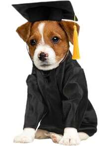 Genérico Gorro Y Toga para Perros |   Disfraz De Graduación para Mascotas Traje Universitario |   Conjunto Lavable con para Mascotas Ropa Pequeña Razas Miniatura Y Fiestas - Rojo - Ver 11