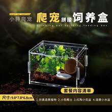 Acrylic Reptile Assembly Kit, Small Pet Terrarium Box For Spider, Scorpion, Beetle, Vivarium Decor, High Transparency Box - Clear - View 4