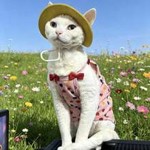 无毛猫彩色爱心印花吊带背心，康沃尔卷毛猫保暖腹部背心，多色可选，透气宠物服装，可机洗，适合中小型猫咪 - 粉色 - 查看 1